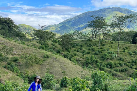 Pichucalco: Chichonal Volcano Hike with Cacao & Meal