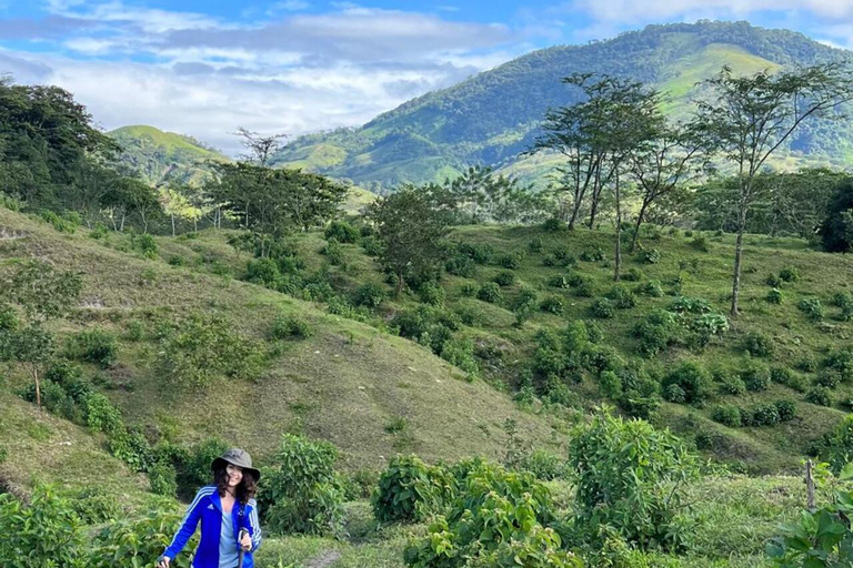 Pichucalco: Chichonal Volcano Hike with Cacao & Meal