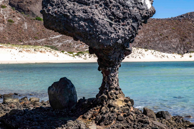 La Paz: Balandra or Tecolote amazing Beach Day Tour