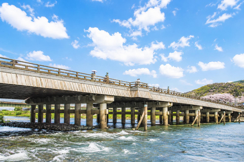 Osaka/Kyoto: Fushimi Inari, Uji & Nara Private Day Tour No Guide – Osaka/Kyoto Pickup & Drop-off