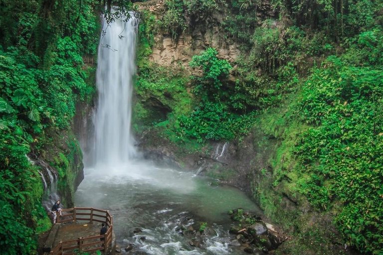 La Paz Waterfall and Cinchona Tour