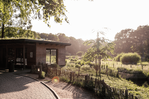 Bilet jednodniowy do zoo w Schwerinie