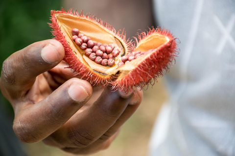 Zanzibar Spice Farm Adventure & Stone Town History TourSansibar Spice Farm Adventure & Stone Town Cultural Tour