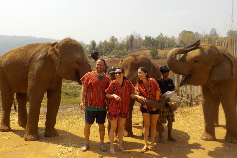 The Must-Do: Authentic Elephant & Village Life in Chiang Mai