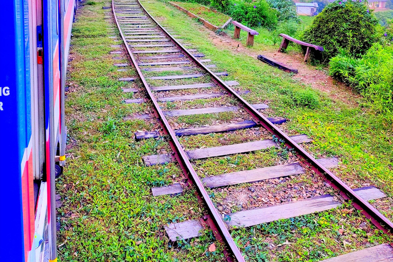 Kandy: Nuwara Eliya, Ambewela Drop Tour & Ella Train journey Kandy: Nuwara Eliya, Ambewela Drop Tour by car or van