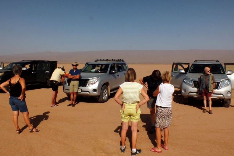 Depuis Agadir/Taghazout : Dunes de sable du Sahara avec transfert