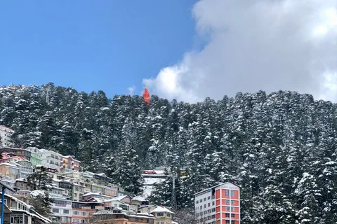 Shimla: Hiking Tour to Jakhu Hill with Local Guide