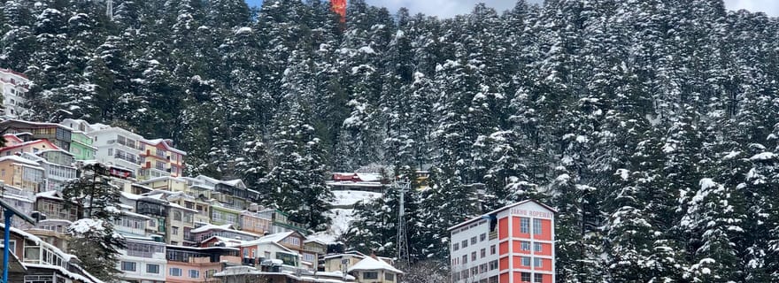 Shimla : Randonnée guidée vers la colline de Jakhu avec un guide régional