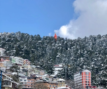 Shimla: Hiking Tour to Jakhu Hill with Local Guide