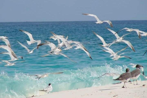 زنجبار: جولة خاصة في جزيرة منيمبا المرجانيةجولة خاصة بدون استلام أو توصيل من الفندق بدون غداء