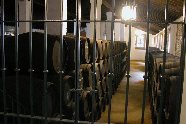 Jerez: Visita guiada a las Bodegas Álvaro Domecq con degustación de 4 vinos
