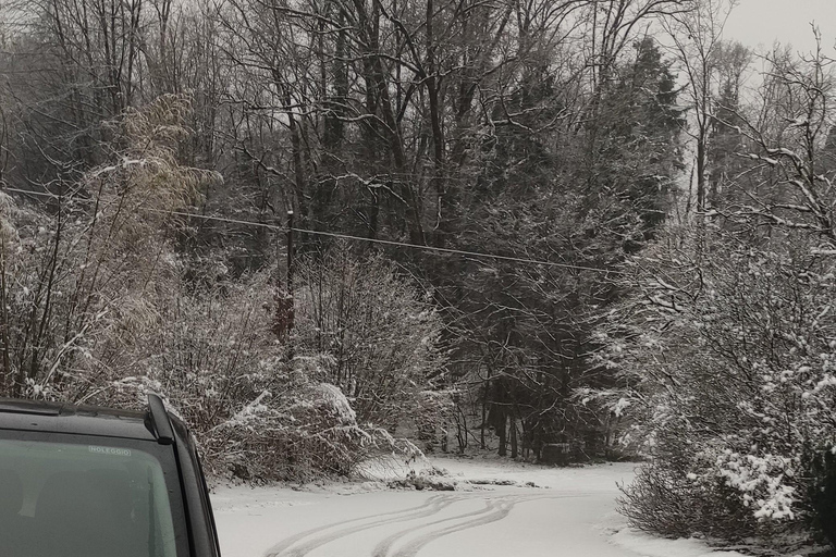 DOLOMITE DAY TOUR FROM VENICE