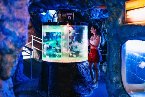 Aquarium de Barcelone : billet coupe-fileBillet coupe-file