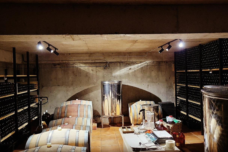 Dzegvi/Tbilisi: Winery Tour with Wine Tasting and Lunch