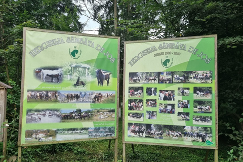 Myths, Horses & Monks – A Transylvanian Storytelling Journey