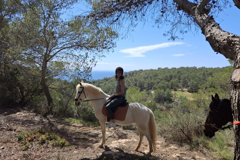 Ibiza: Horseback Ride Nature Experience + Picnic +Transport