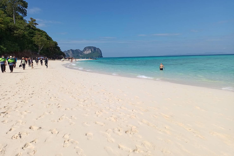 Phuket : Phi Phi Monkey Beach with Snorkeling & Lunch