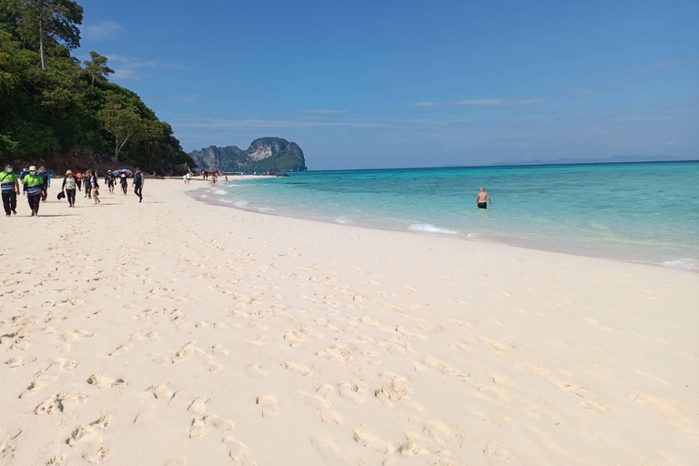 Phuket : Phi Phi Monkey Beach with Snorkeling & Lunch