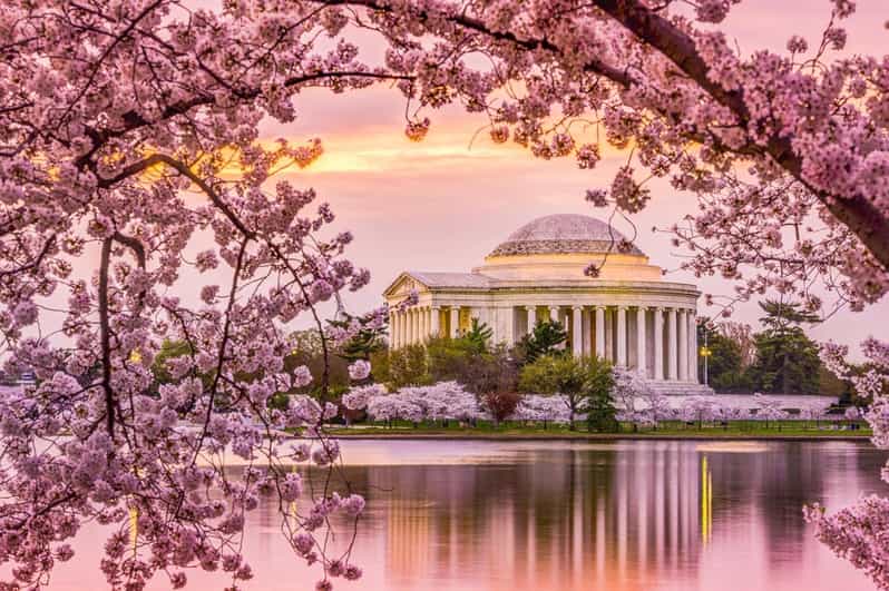 Washington, DC: Cseresznyevirágzás gyalogtúra