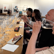 Trieste City Center: Wine Tasting with Food Pairings