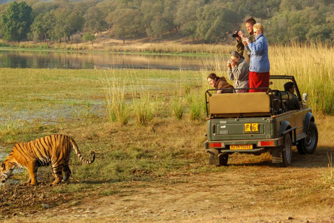 Aufregende Tagestour von Jaipur nach Ranthambore Wildlife Safari