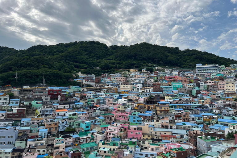 Busan: Top Attractions Tour for Cruise Guests For Busan Cruise Guest Highlight Top Attraction Group Tour