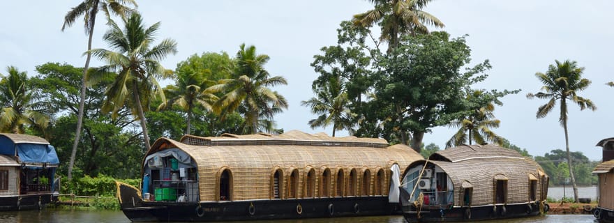 Au départ de Cochin : Alleppey Houseboat Day Tour avec déjeuner
