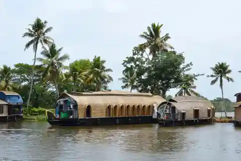 From Cochin: Alleppey Houseboat Day Tour with Lunch