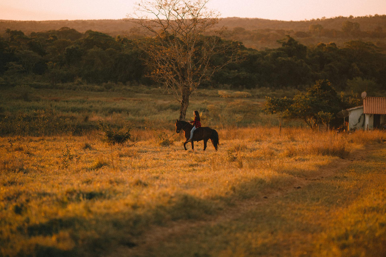 Botswana: Luxury Horseback Ride in Private Wildlife Reserve 1 hour Luxury Horseback Ride in Private Wildlife Reserve