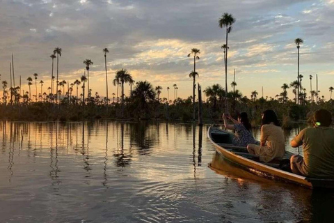 Puerto Maldonado Bezoek aan het Yacumama meer en geniet van de zonsondergang