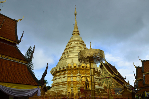 Chiang Mai: 4-godzinna wycieczka do Doi Suthep, Wat Umong i Wat Phalat