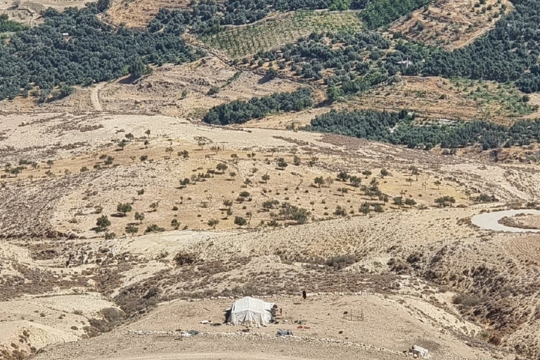 Amman - Halve dagtrip Madaba en Mount NeboAmman - Madaba - Mount Nebo Halve dagtrip Minivan 7 pax