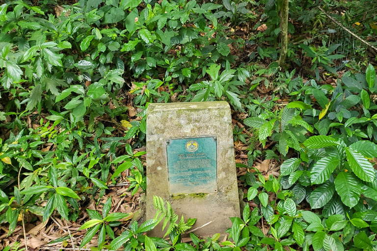 Hidden Valley Springs | Lunch | Taal Volcano Viewing (2in1)