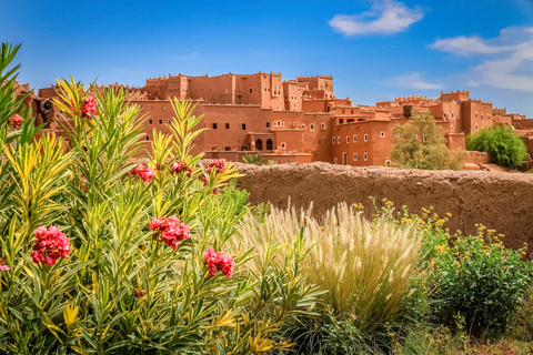 Tour privato di 14 giorni del Marocco da MarrakechTour privato di 14 giorni in Marocco - Alloggi reali