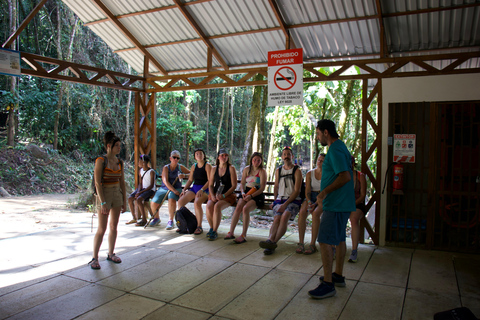 Enjoy and explore the amazing Nauyaca Waterfall! NAUYACA WATERFALL TOUR