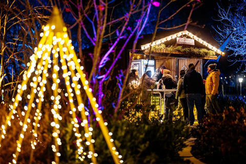 Wstęp do egaparku: zimowe światła