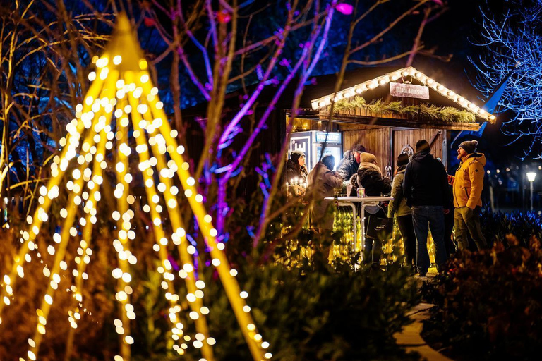 Wstęp do egaparku: zimowe światła