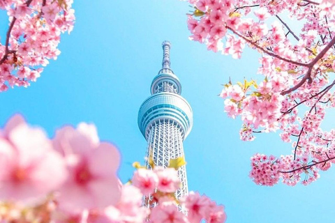 Tour Privado de un Día Personalizable por Tokio con un Guía