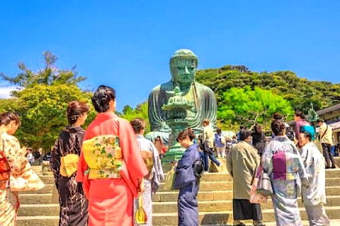 Visite touristique privée de 10 jours au Japon avec guide