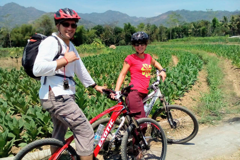 Borobudur tample, Cycling & Elo River Rafting Tour