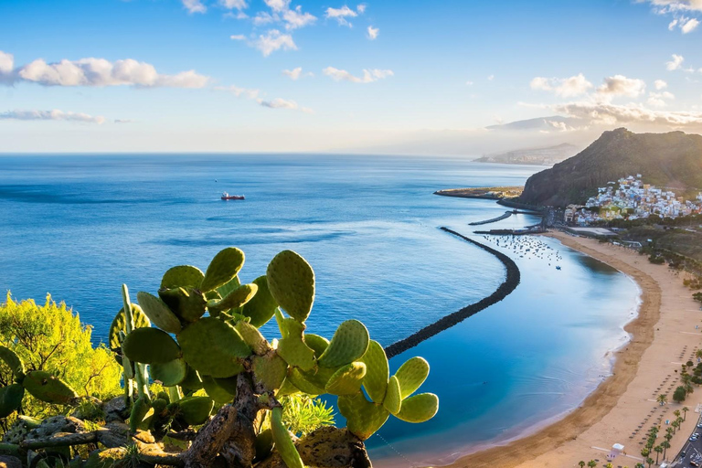 Puerto de la Cruz: Foresta di Avatar -Taganana-Teresitas+coda