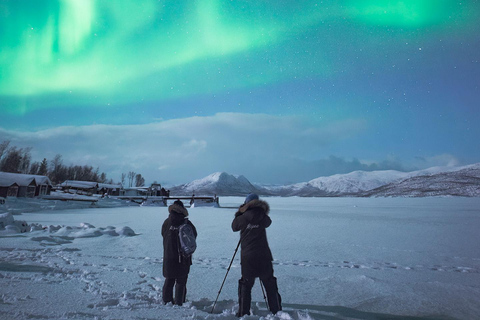 Kiruna: Abisko Nordlichter Tour mit Abendessen