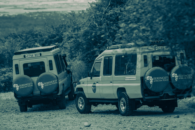 Zanzibar: 4-Day Mid-Range Safari Special for Honeymooners