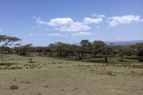 Nairobi: Crescent Island Sanctuary Day Trip with Lunch Nairobi: Crescent Island Sanctuary private day Trip