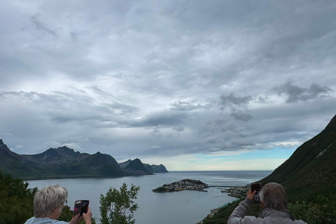 Tromso: SENJAtional: Sommaroy and Senja (7 people max) Tromso: One Day Trip to Senja