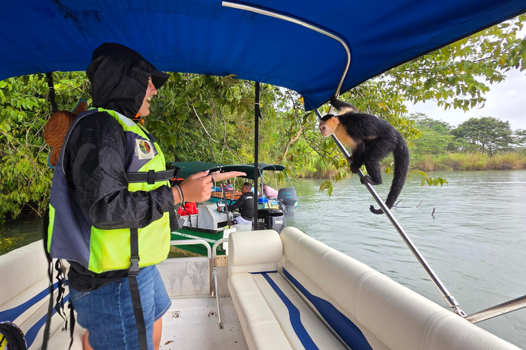 Panama City Gatun Lake VIP Boat Tour Panama City Gatun Lake boat trip