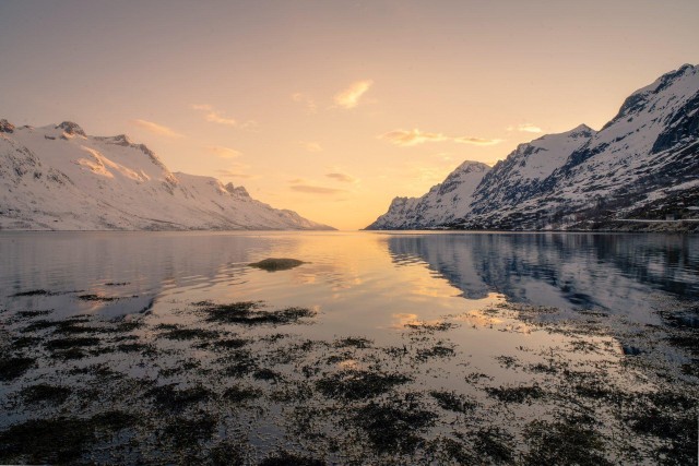 Visit Discover the Fjords - a roadtrip along the norwegian coast in Islas Lofoten, Noruega