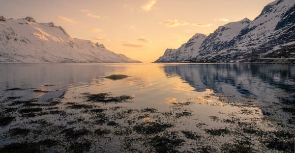 Tromsø: ⭐ Fjords Tour with wildlife spotting