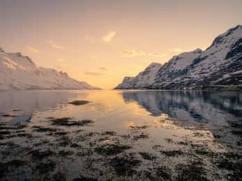 Tromsø Fjords Tour with Wildlife Spotting — by minivan