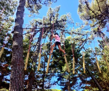Rimini: Adventure Park Entry Ticket